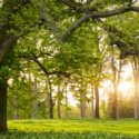 Addressing Anxiety