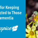 8 Tips For Keeping Connected To Those With Dementia