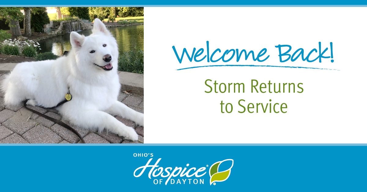 Welcome Back! Storm Returns to Service - Ohio's Hospice of Dayton