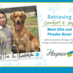 Retrieving Comfort & Joy: Meet Ellie and Phoebe-Rose - Animal-Assisted Therapy Team Brings Comfort and Joy to Patients