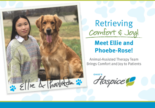 Retrieving Comfort & Joy: Meet Ellie And Phoebe-Rose - Animal-Assisted Therapy Team Brings Comfort And Joy To Patients