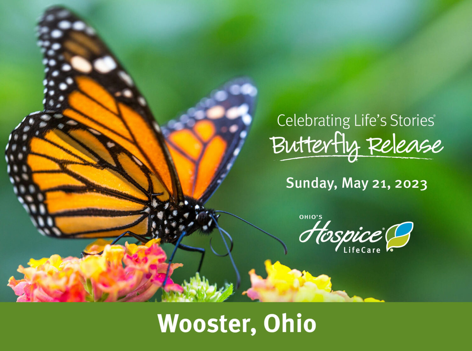 Celebrating Life's Stories Butterfly Release, Sunday, May 21, 2023, Ohio's Hospice LifeCare, Wooster, Ohio