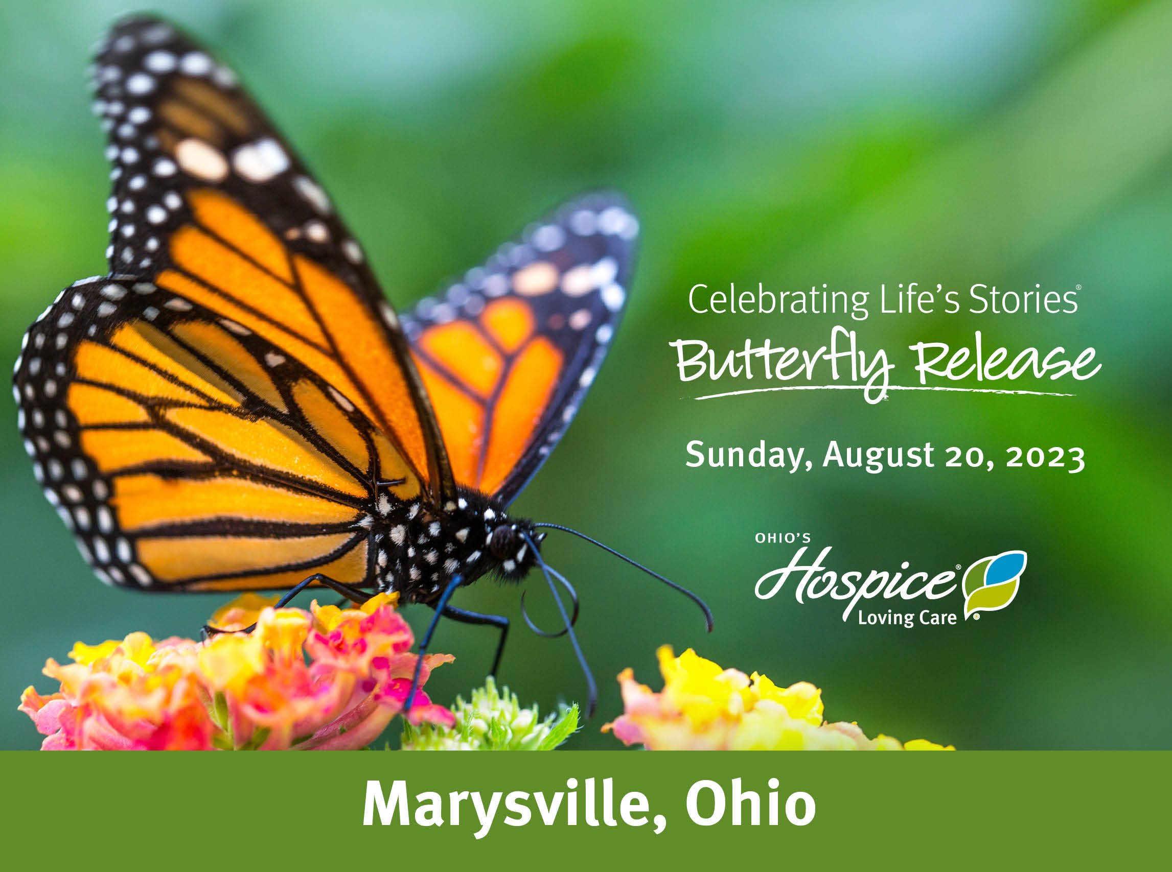 Celebrating Life's Stories Butterfly Release Sunday, August 20, 2023. Ohio's Hospice Loving Care. Marysville, Ohio