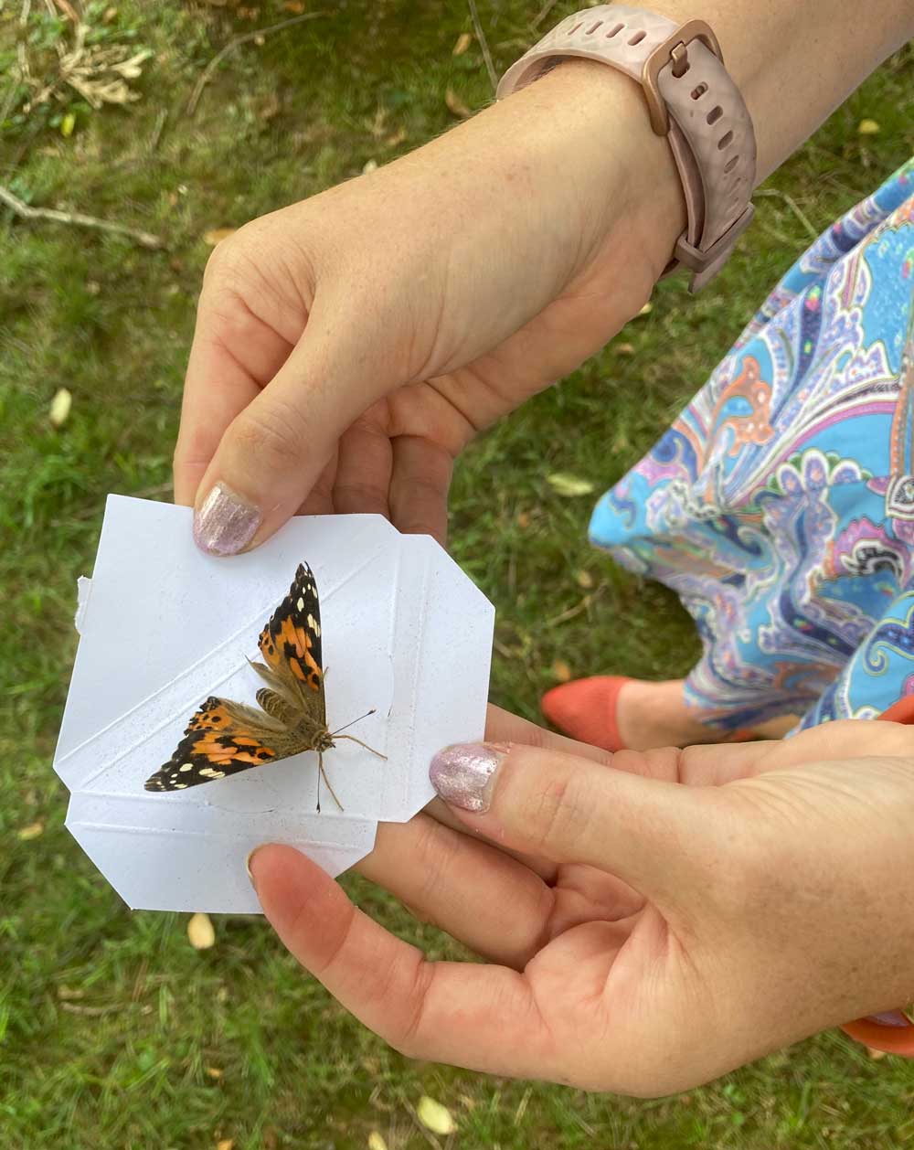 Woman releasing a butterfly outside during Ohio's Hospice LifeCare Butterfly Release