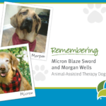 Remembering Micron Blaze Sword and Morgan Wells. Animal-Assisted Therapy Dogs. Ohio's Hospice