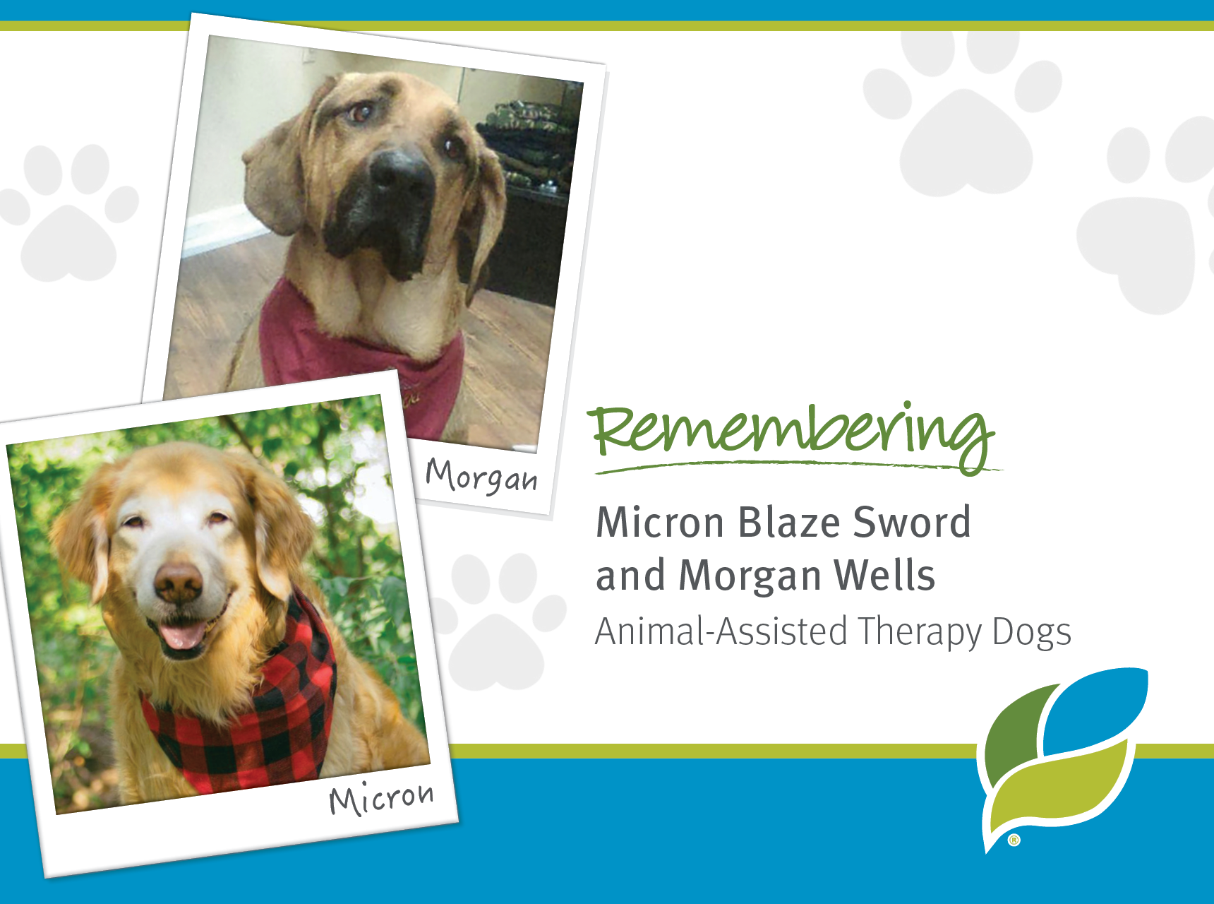 Remembering Micron Blaze Sword and Morgan Wells. Animal-Assisted Therapy Dogs. Ohio's Hospice