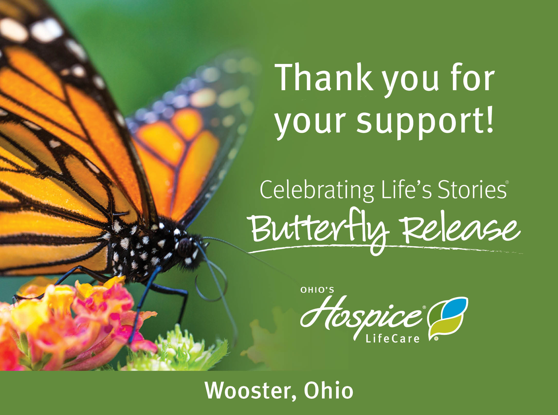 Thank you for your support! Celebrating Life's Stories Butterfly Release. Ohio's Hospice LifeCare. Wooster, Ohio