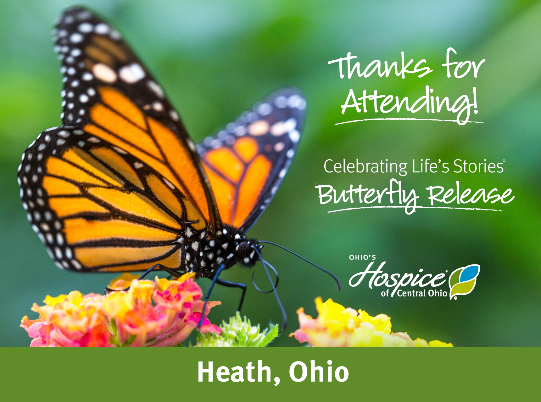 Thanks for Attending! Celebrating Life's Stories Butterfly Release 2023. Ohio's Hospice of Central Ohio