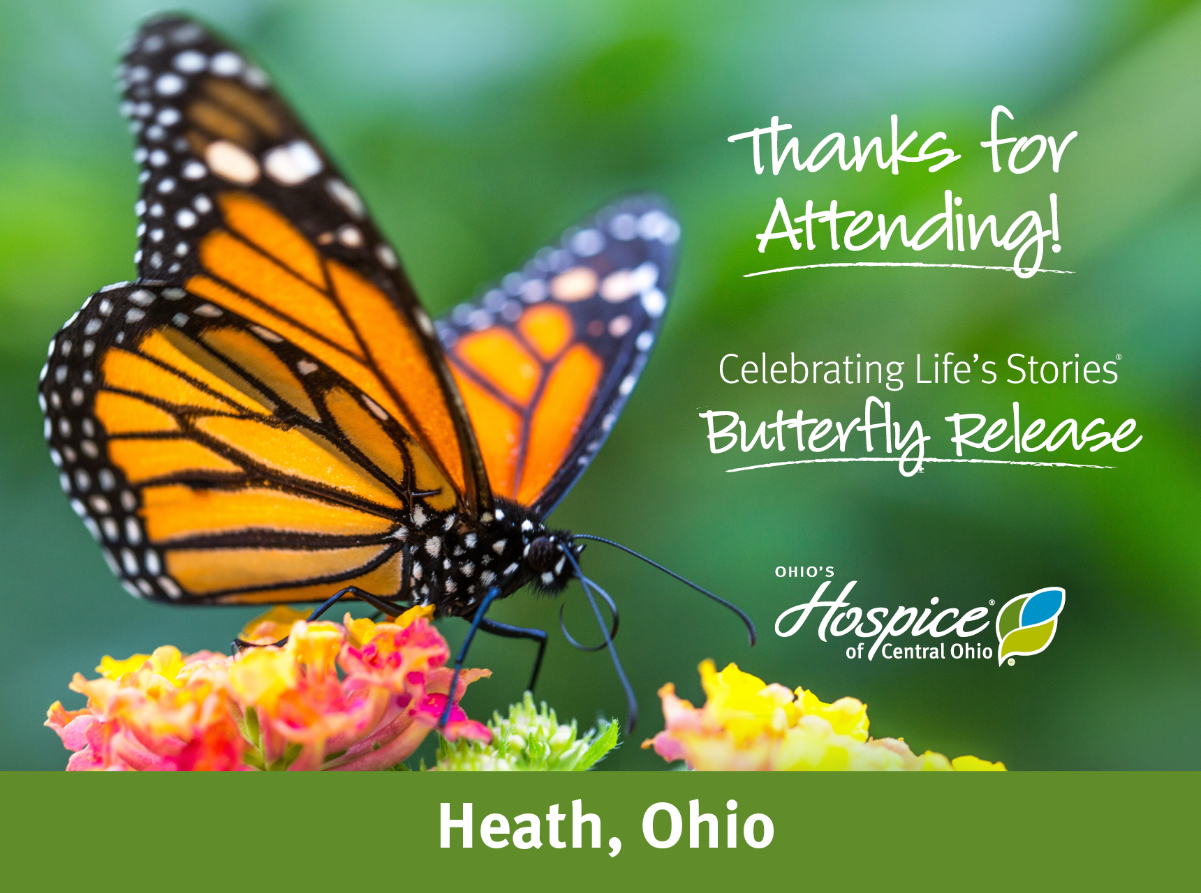 Thanks for Attending! Celebrating Life's Stories Butterfly Release 2023. Ohio's Hospice of Central Ohio 