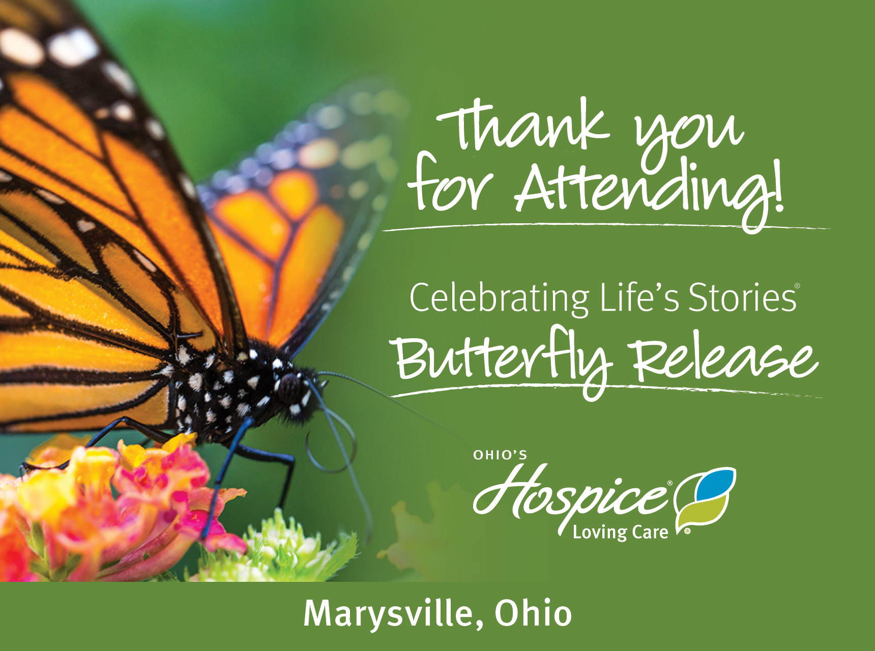 Thank you for attending! Butterfly Release 2023. Ohio's Hospice Loving Care