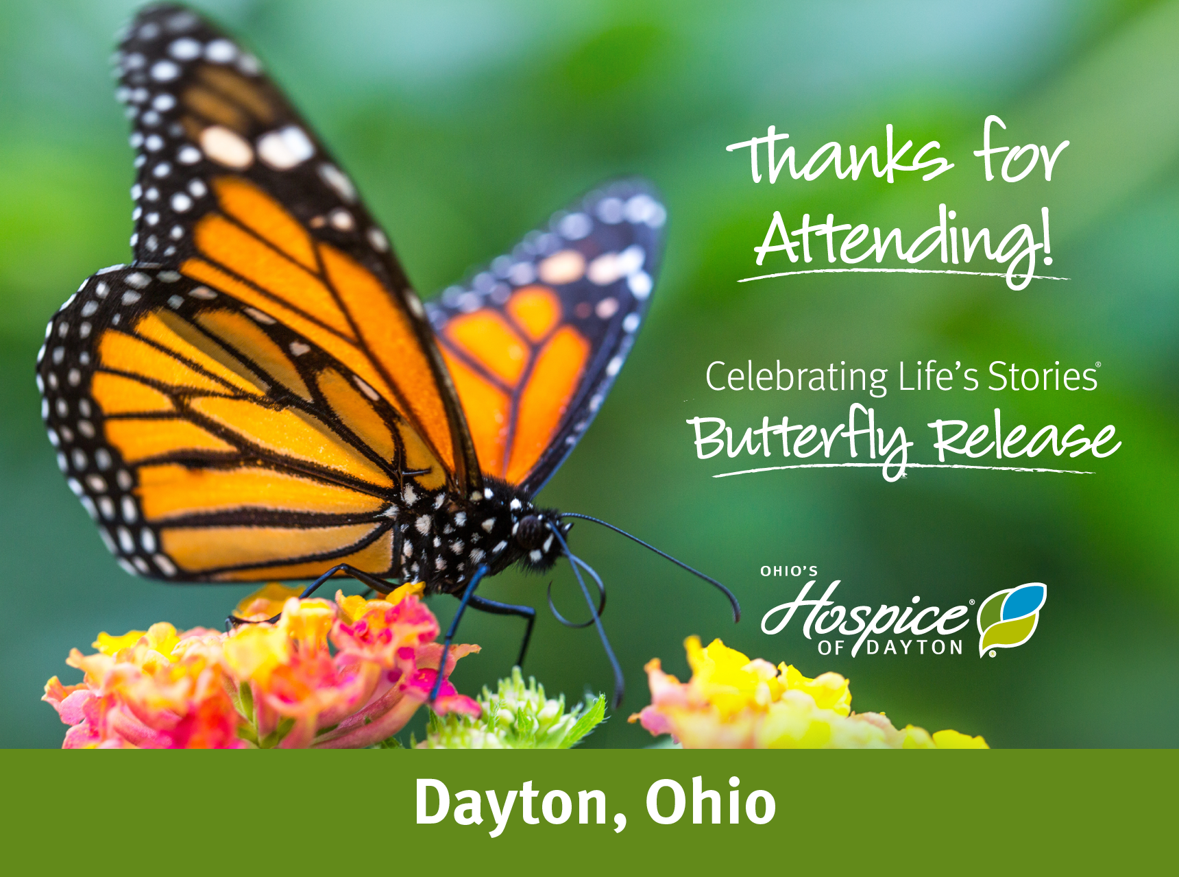 Thanks for attending! Butterfly Release 2023. Ohio's Hospice of Dayton