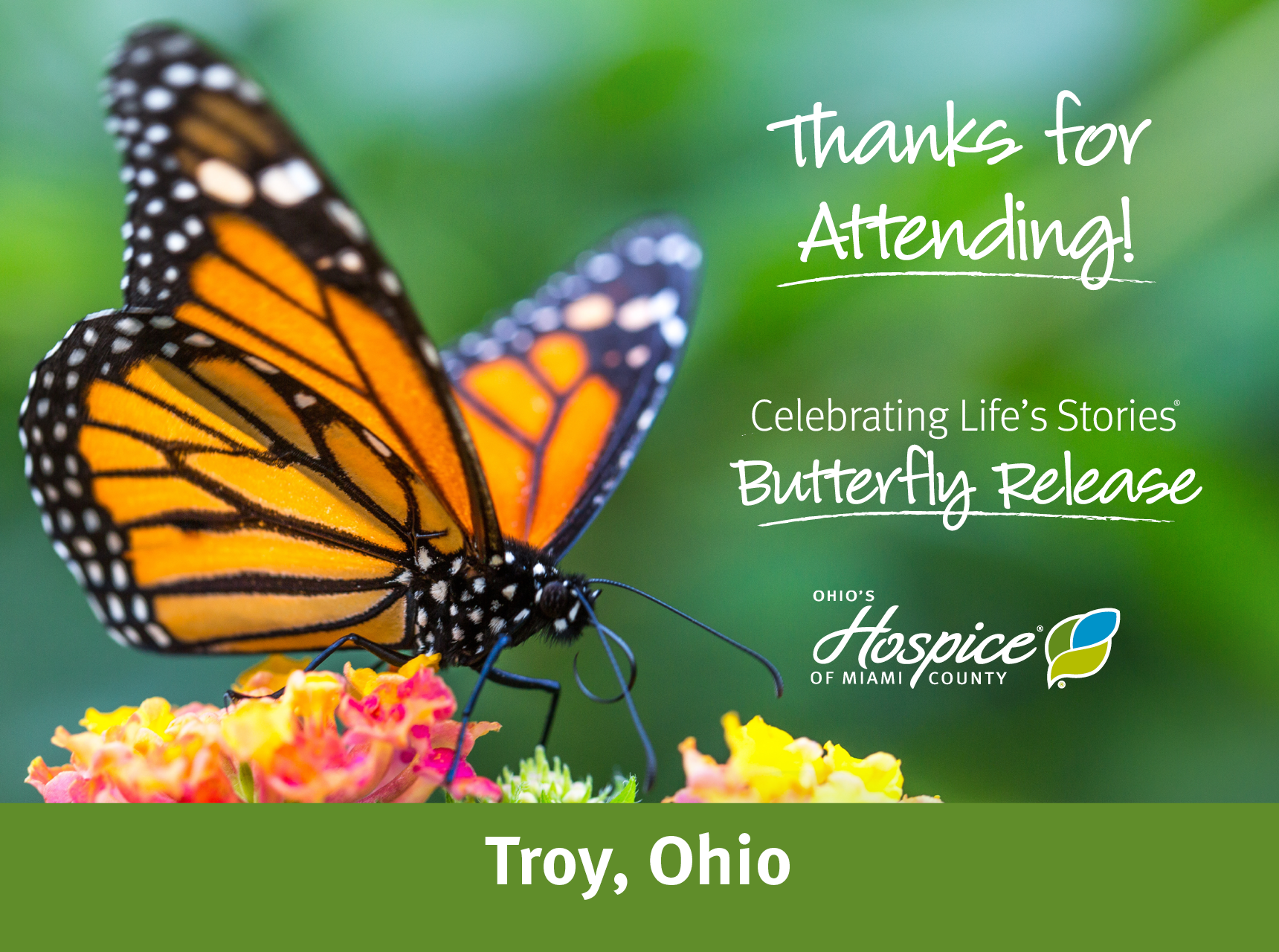 Thanks for attending! Butterfly Release 2023. Ohio's Hospice of Miami County