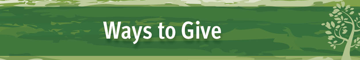 Ways to Give