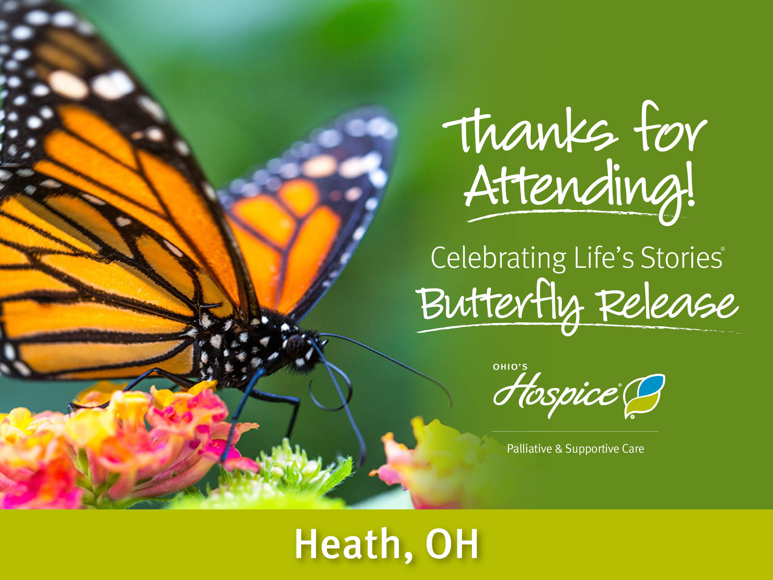 Community Honors Loved Ones at Ohio's Hospice Celebrating Life's Stories® Butterfly Release in Heath