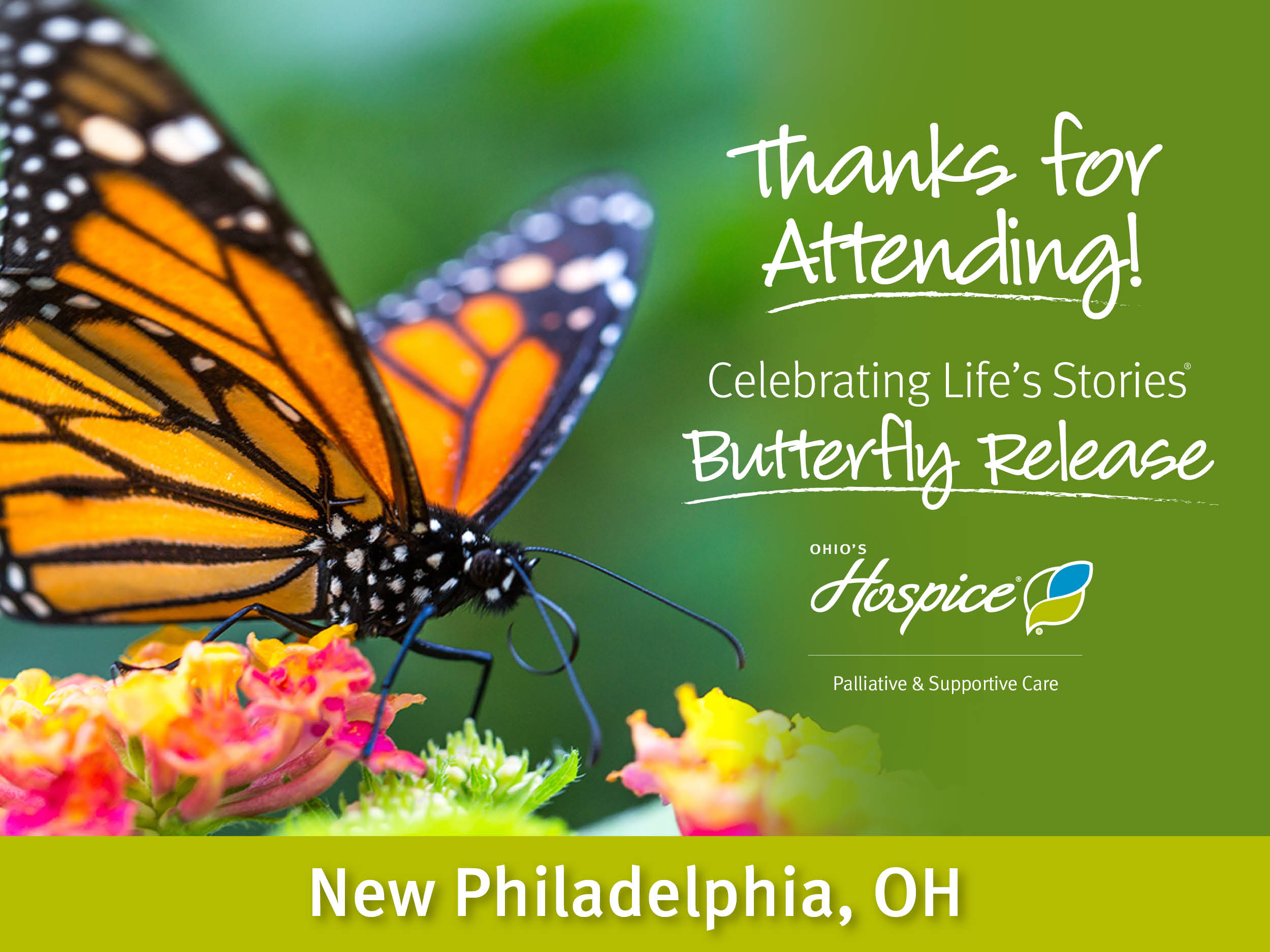 Thank You for Attending our New Philadelphia Butterfly Release