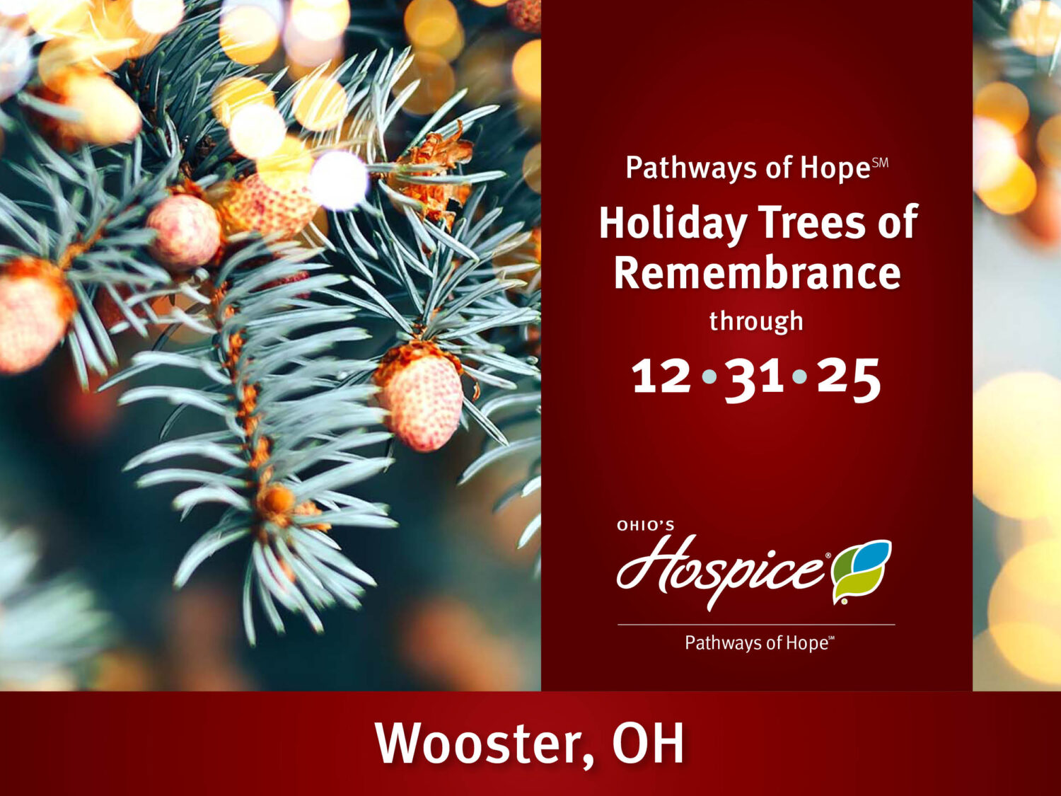 Holiday Trees of Remembrance