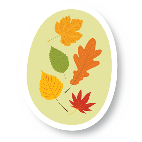Kindvember 2025 - Leaves