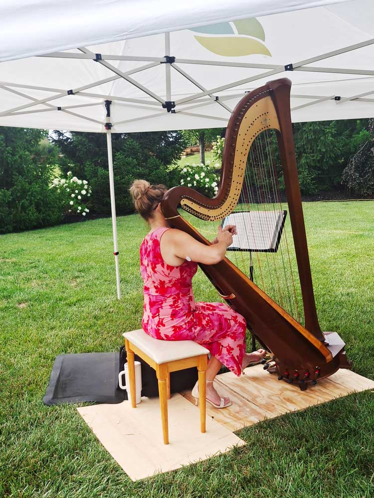 Ohio's Hospice Dayton Butterfly Release harpist