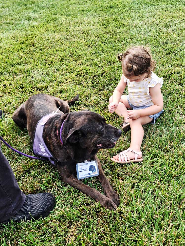 Ohio's Hospice Dayton Butterfly Release girl with her dog