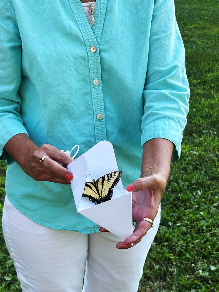 Guest releasing a butterfly at Ohio's Hospice Butterfly Release