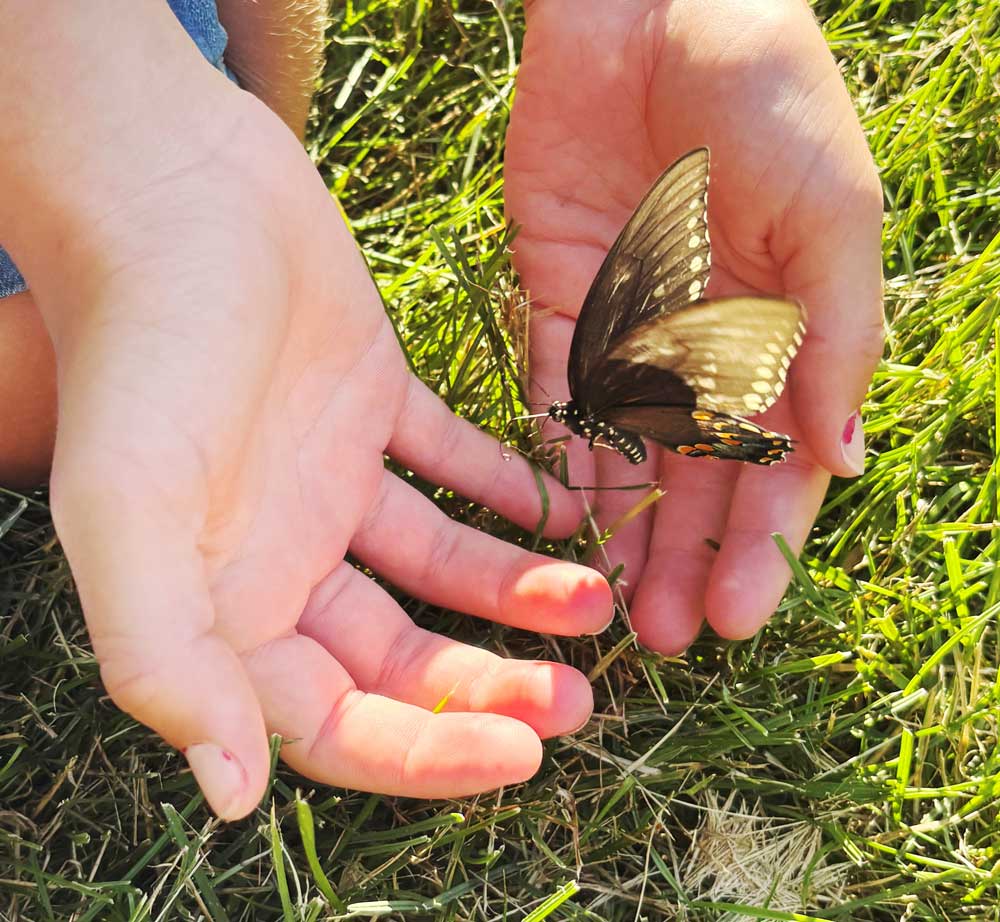 Butterfly on a hand at Ohio's Hospice Butterfly Release
