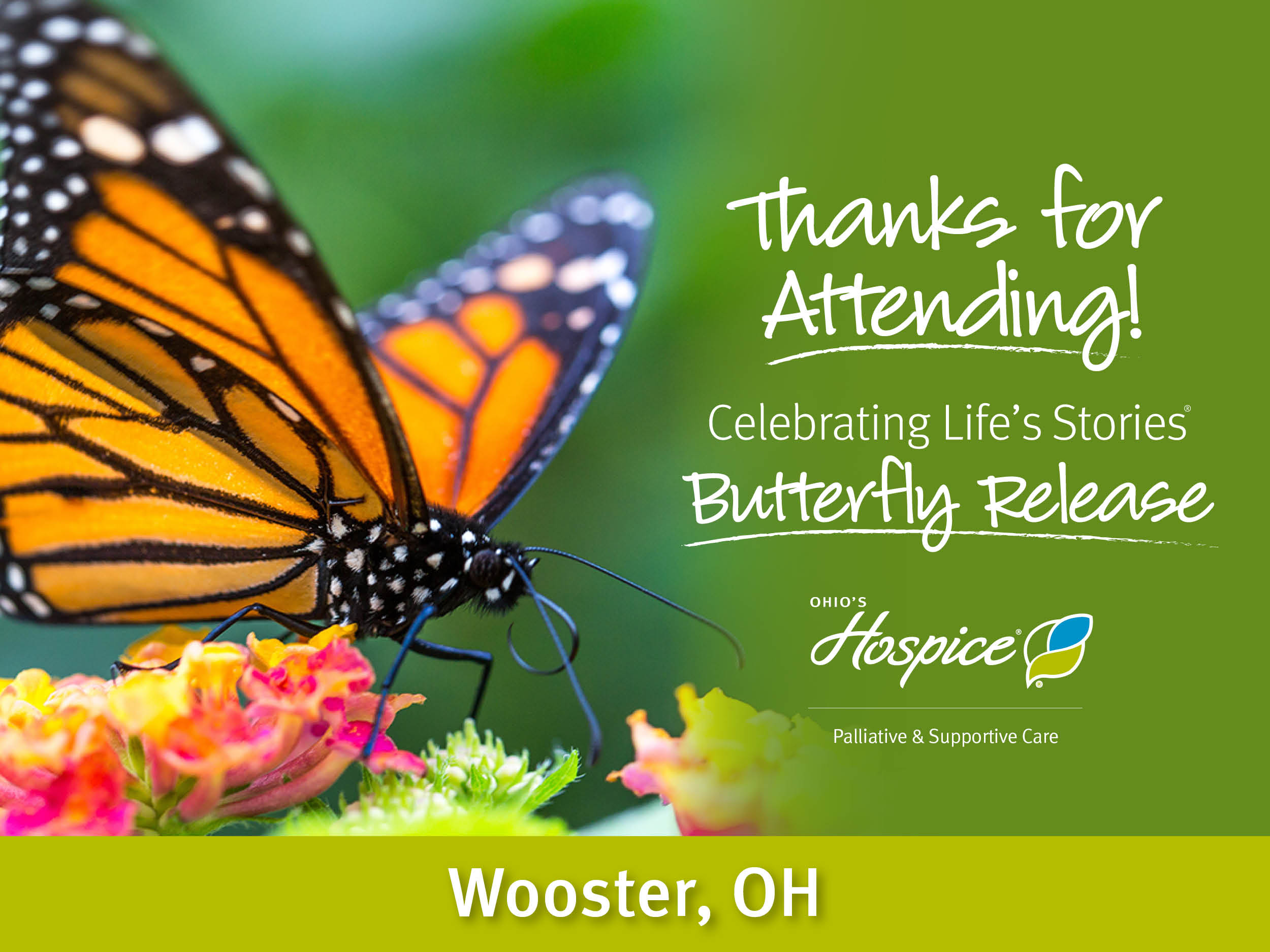 Butterfly Release Wooster