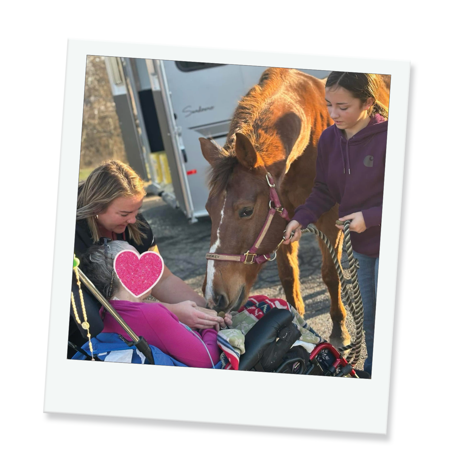 Patient Erin feeding Whiskey the horse