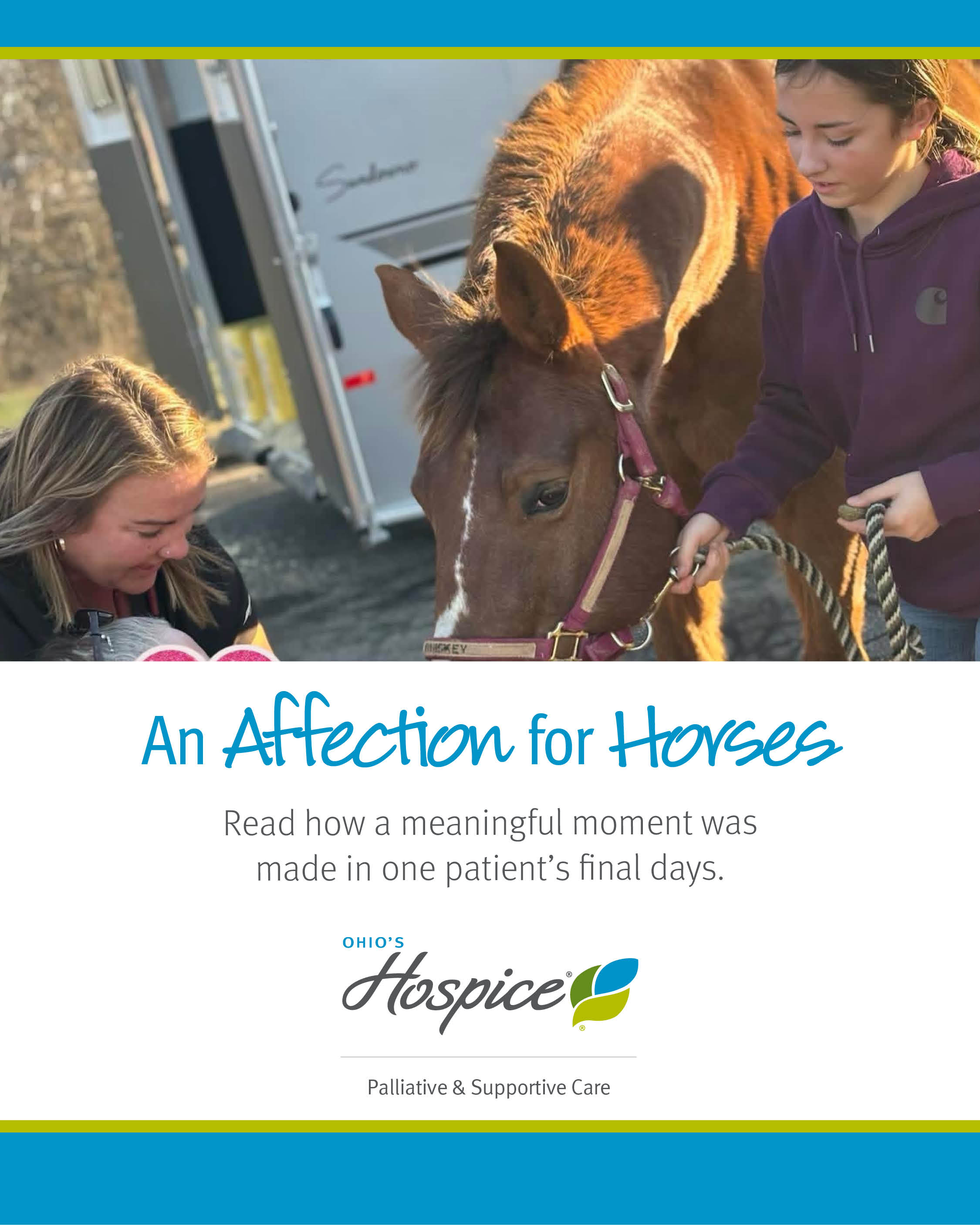 An Affection for Horses